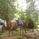 Transport piese de schimb in zona inaccesibila montana